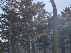 -东北大学(南湖校区)