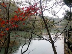 -白马涧龙池景区