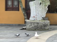-灵顺寺