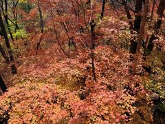 -丹东天桥沟景区