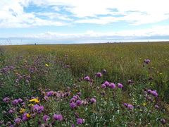-青海湖国家重点风景名胜区