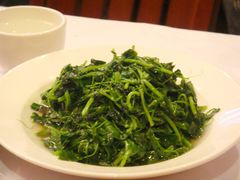 豆苗-永兴餐厅(复兴中路店)