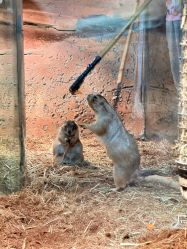 -Zoolung Zoolung动物主题公园(海信广场店)