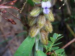 -天芳悦潭度假村温泉