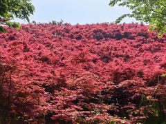 -天河潭旅游度假区