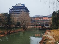 -长兴太湖图影湿地文化园