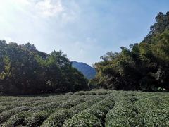 -杭州西湖风景名胜区-三生石
