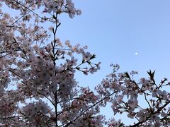 -上海体育场(地铁站)