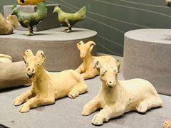 -广西壮族自治区博物馆
