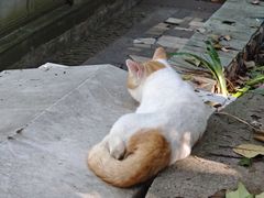 -成都老君山