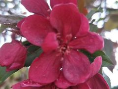 -白沙门生态公园