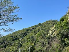 -火炉山森林公园