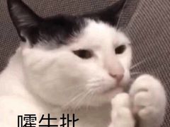 -鱼你在一起(南开天佑城店)