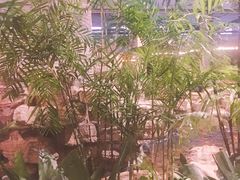 -森谷美食公园(杨行店)