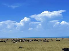-青海湖国家重点风景名胜区
