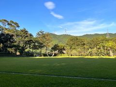 -银湖山郊野公园-相思林