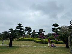 -南宁南湖公园