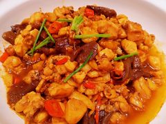 山茶油乳牛肝菌炒仔鸡-望湘园·湖南菜(宏伊店)