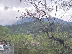 -南岳衡山风景名胜区