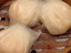 -高第街56号餐厅(宝龙店)