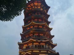 -洋湖国家湿地公园