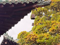 -报恩寺(平武县)