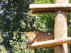 -北京野生动物园