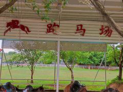 -盈香心动乐园