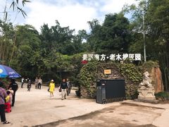 门面-老木棉·匠园