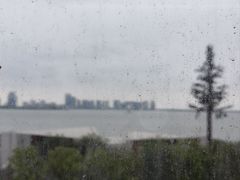 -朵云书院(滴水湖店)