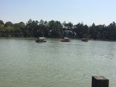 -上海鲜花港