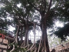 -胡里山炮台