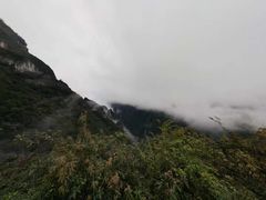 -武陵山森林公园