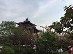 -西安青龙寺遗址景区