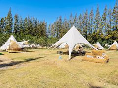 -前小桔亲子创意农场·草莓采摘·露营烧烤