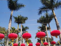 -香蜜公园