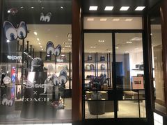 -COACH蔻驰(恒隆广场店)