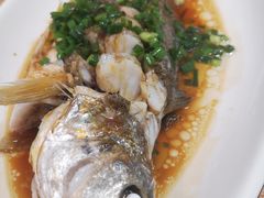 -金海湾海鲜排档(朱家尖店)