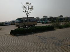 -南大港湿地风景区