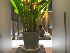 -一宽宽宴(白浮泉路店)
