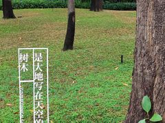 -云溪植物园