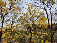 -中国移动南方基地