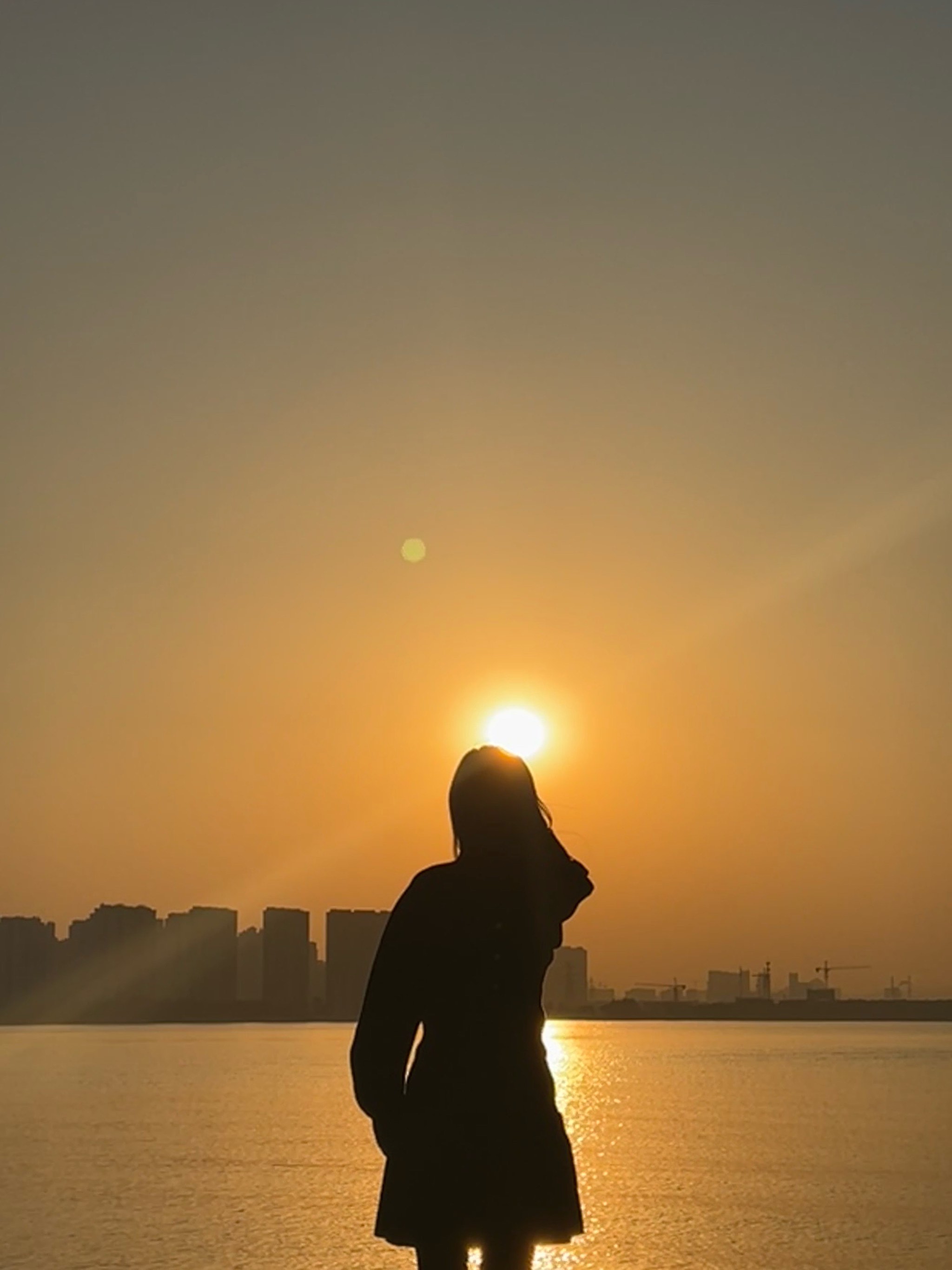 孤独树下的夕阳很迷人