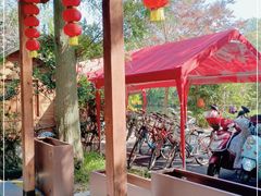 -东平国家森林公园