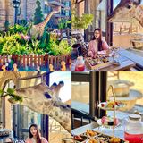 济南旅游|🦒长颈鹿下午茶也太好拍了～