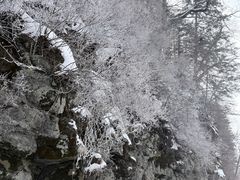 -长白山万达锦华套房酒店