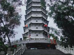 -深圳国际园林花卉博览园