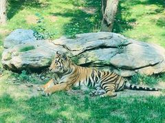 -北京野生动物园