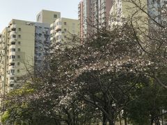 -玛格萝妮比萨屋(四平店)