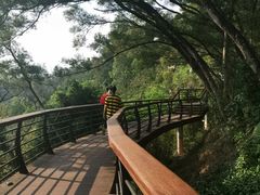 -深圳仙湖植物园-停车场